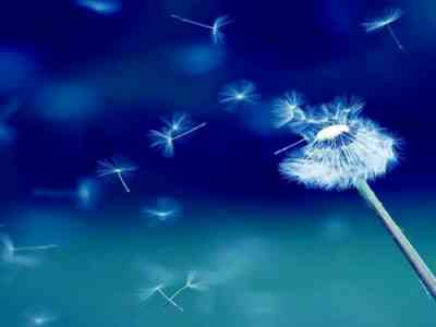 星空无极限MV国产剧哪里能看：国产剧《星空无极限》MV播放途径大搜罗